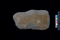 藏品(磨製石斧)的圖片