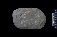 藏品(石斧)的圖片