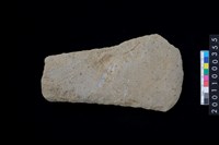 藏品(磨製石斧)的圖片