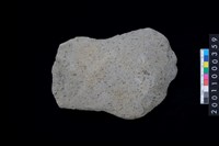 藏品(磨製石斧)的圖片