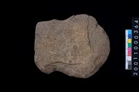 藏品(石斧)的圖片