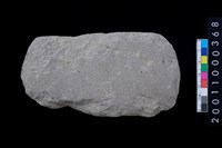 藏品(磨製石斧)的圖片