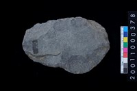 藏品(磨製石斧)的圖片