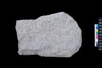 藏品(有肩磨製石斧)的圖片