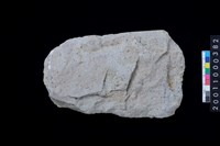 藏品(磨製石斧)的圖片