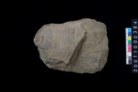 藏品(磨製石斧)的圖片