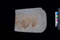 藏品(磨製石斧殘件)的圖片