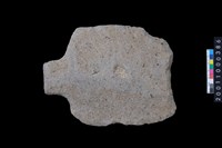 藏品(有肩石鏟)的圖片