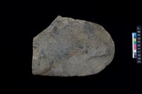 藏品(磨製石斧殘件)的圖片