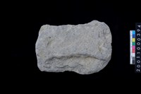 藏品(磨製石斧)的圖片