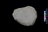 藏品(磨製石斧)的圖片