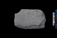 藏品(磨製石斧殘件)的圖片