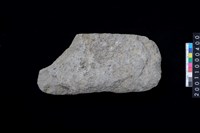 藏品(磨製石斧)的圖片