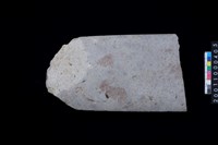 藏品(磨製石斧)的圖片