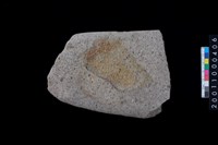 藏品(磨製石斧)的圖片