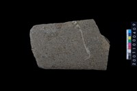 藏品(磨製石斧)的圖片