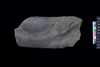 藏品(磨製石斧)的圖片