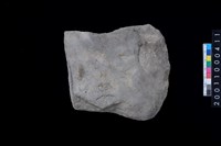 藏品(磨製石斧殘件)的圖片