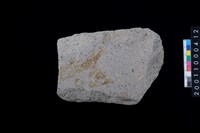 藏品(磨製石斧殘件)的圖片