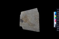 藏品(有肩石鏟)的圖片