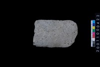 藏品(磨製石斧殘件)的圖片