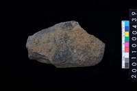 藏品(磨製石斧殘件)的圖片