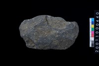 藏品(磨製石斧殘件)的圖片