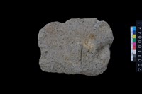 藏品(磨製石斧殘件)的圖片