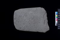 藏品(磨製石斧殘件)的圖片