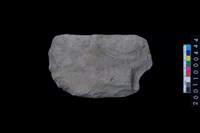 藏品(磨製石斧殘件)的圖片