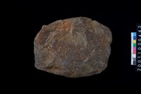 藏品(磨製石斧殘件)的圖片