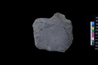 藏品(磨製石斧殘件)的圖片