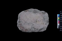 藏品(磨製石斧殘件)的圖片