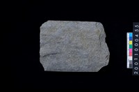 藏品(磨製石斧殘件)的圖片