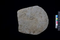 藏品(磨製石斧殘件)的圖片