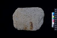 藏品(磨製石斧殘件)的圖片