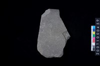 藏品(磨製石斧殘件)的圖片