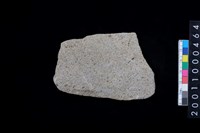 藏品(磨製石器殘件)的圖片