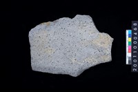 藏品(磨製石斧殘件)的圖片