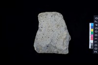 藏品(磨製石斧殘件)的圖片