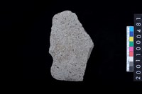 藏品(有肩石斧)的圖片