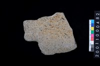 藏品(有肩石斧)的圖片