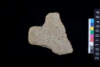 藏品(有肩石斧)的圖片