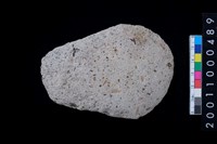 藏品(磨製石斧)的圖片