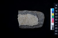 藏品(石斧)的圖片