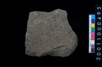 藏品(石斧)的圖片