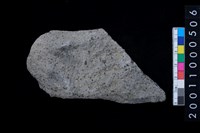 藏品(石斧)的圖片