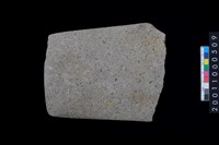 藏品(磨製石斧)的圖片