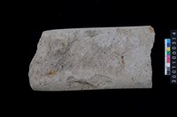 藏品(磨製石斧)的圖片