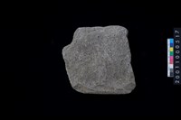 藏品(磨製石斧)的圖片